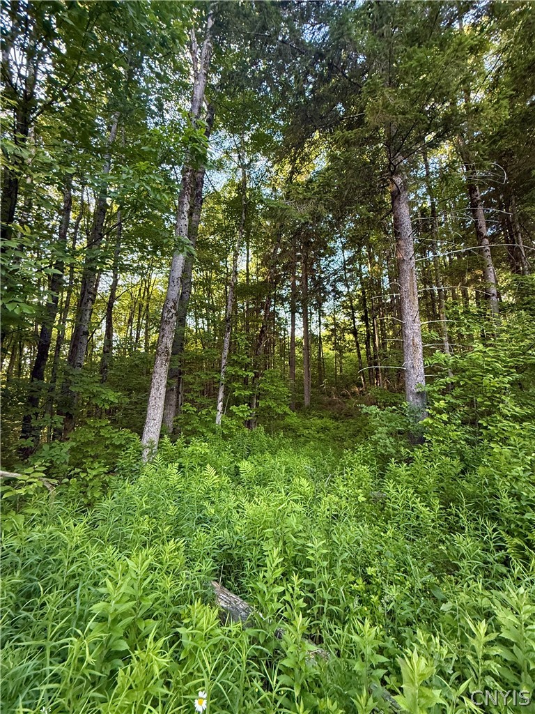 9191 Furman Mills Road Brookfield, NY 13460 - Photo 16 of 30