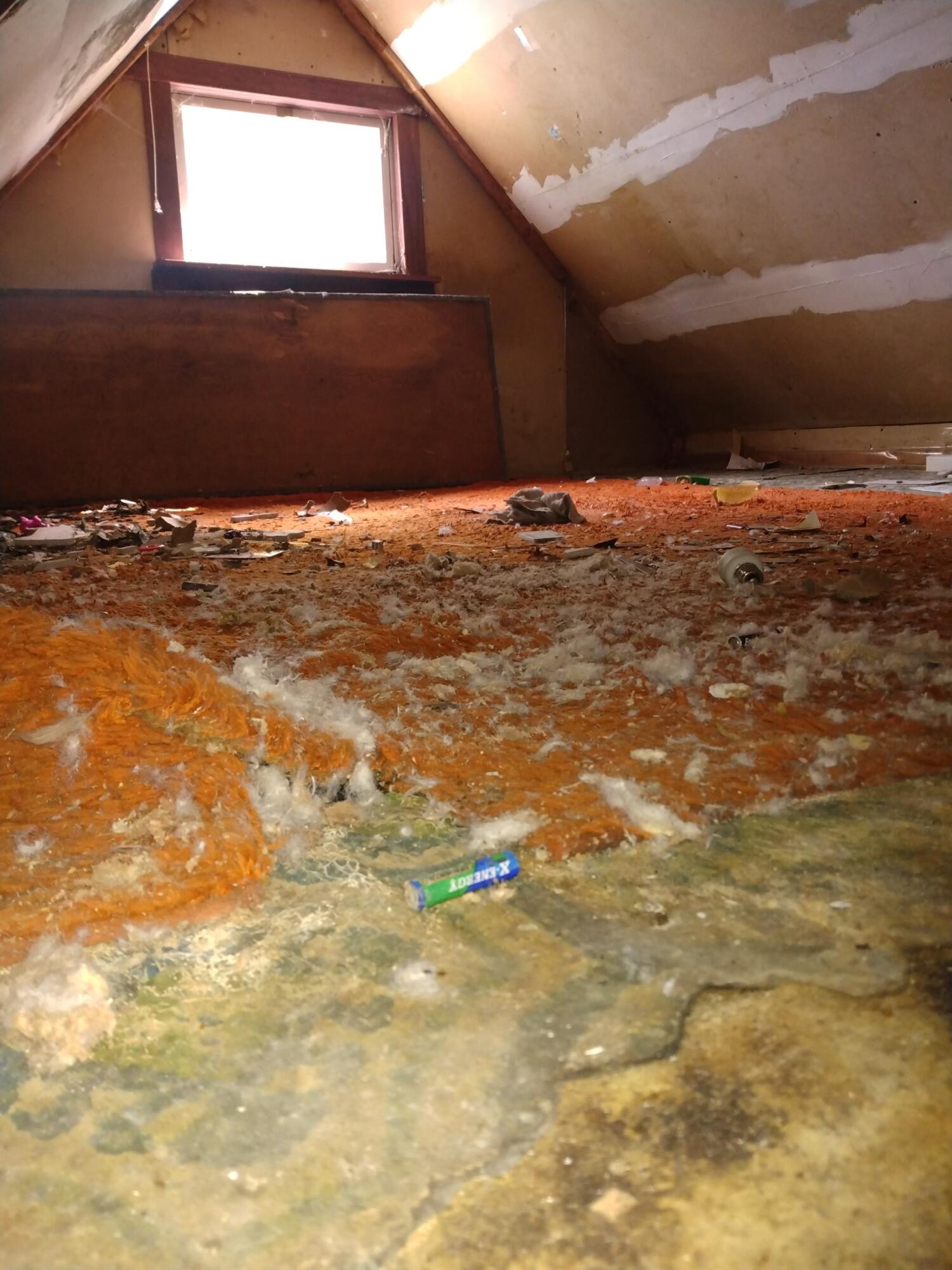 47 Church Street Beals, ME 04611 - Photo 17 of 27 Upstairs
