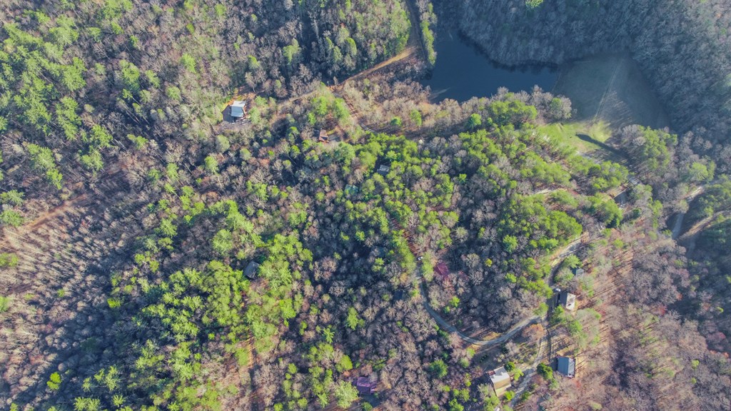 462 Laurel Mountain Road Blue Ridge, GA 30513 - Photo 52 of 52 Gallery Image 52