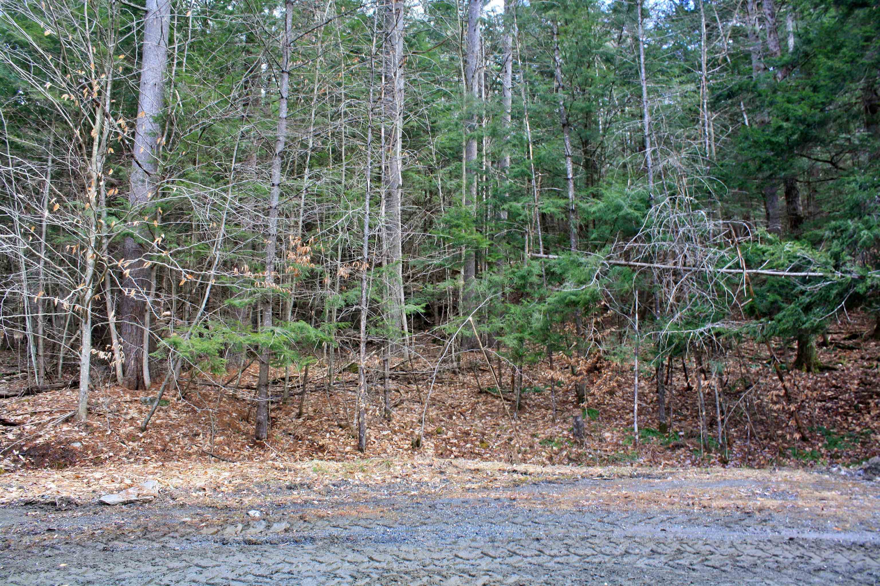 0 Bayley Way, Unit 5205 Quechee, VT 05059 - Photo 1 of 9 Gallery Image 1