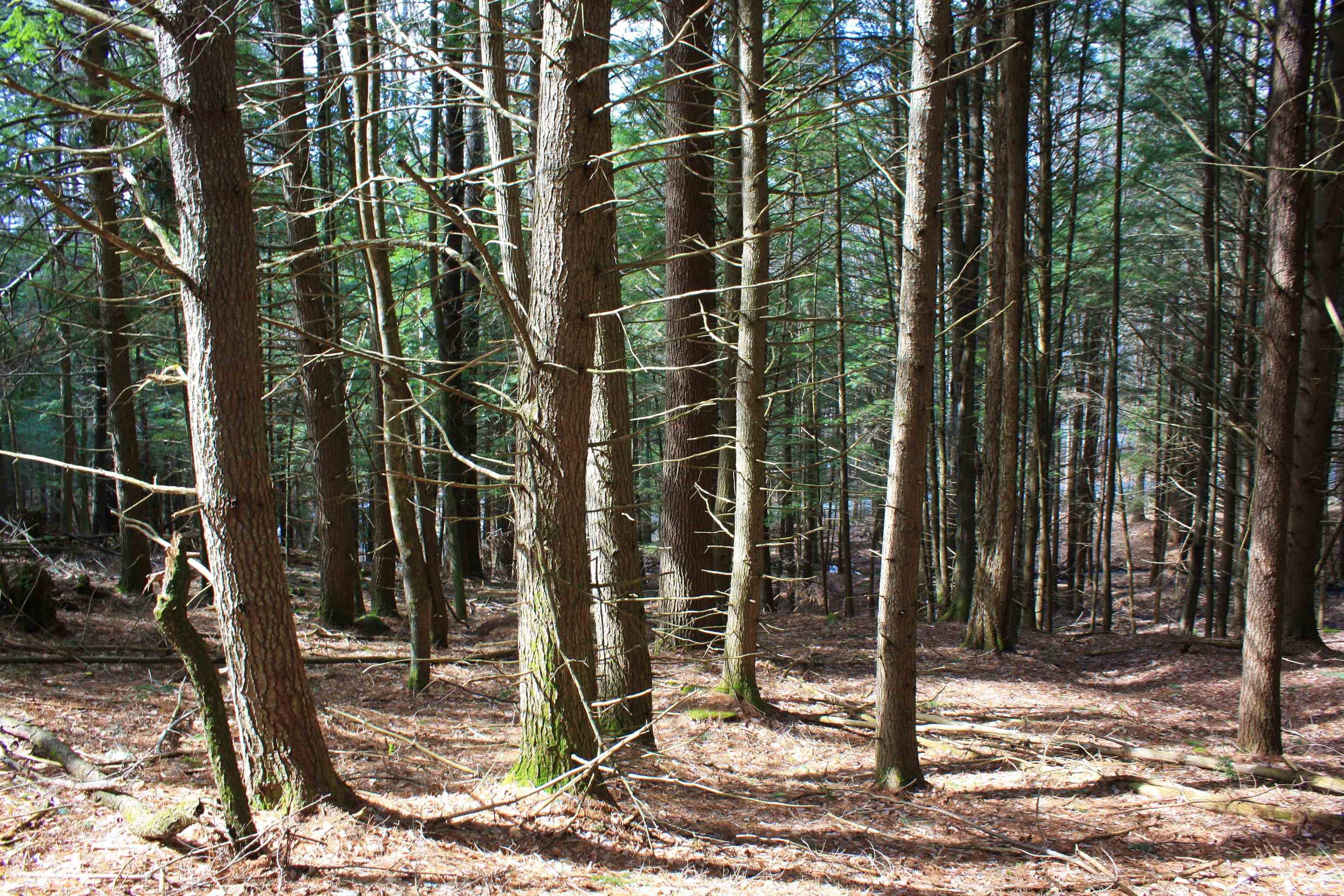 0 Bayley Way, Unit 5205 Quechee, VT 05059 - Photo 2 of 9 Gallery Image 2