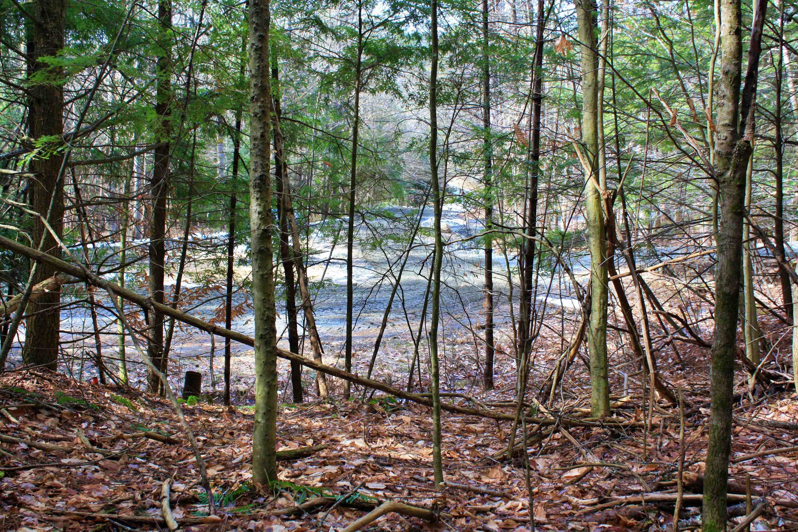 0 Bayley Way, Unit 5205 Quechee, VT 05059 - Photo 6 of 9 Gallery Image 6