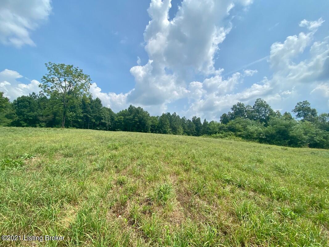 1270 Duvall Road Caneyville, KY 42721 - Photo 37 of 61 1270 Duvall Rd27