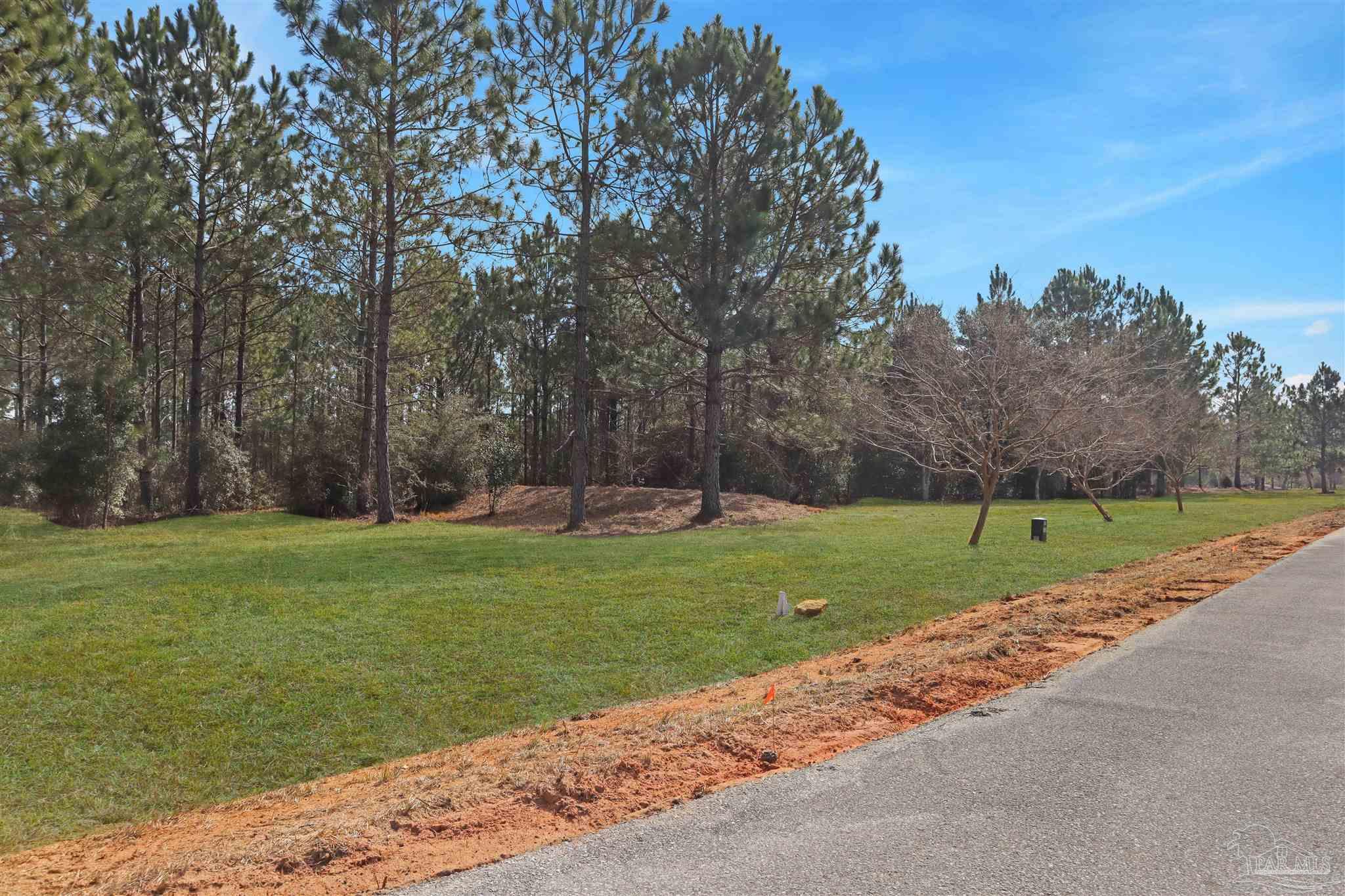 0 Mary Kitchens Road Milton, FL 32583 - Photo 11 of 14 a view of a park with large trees