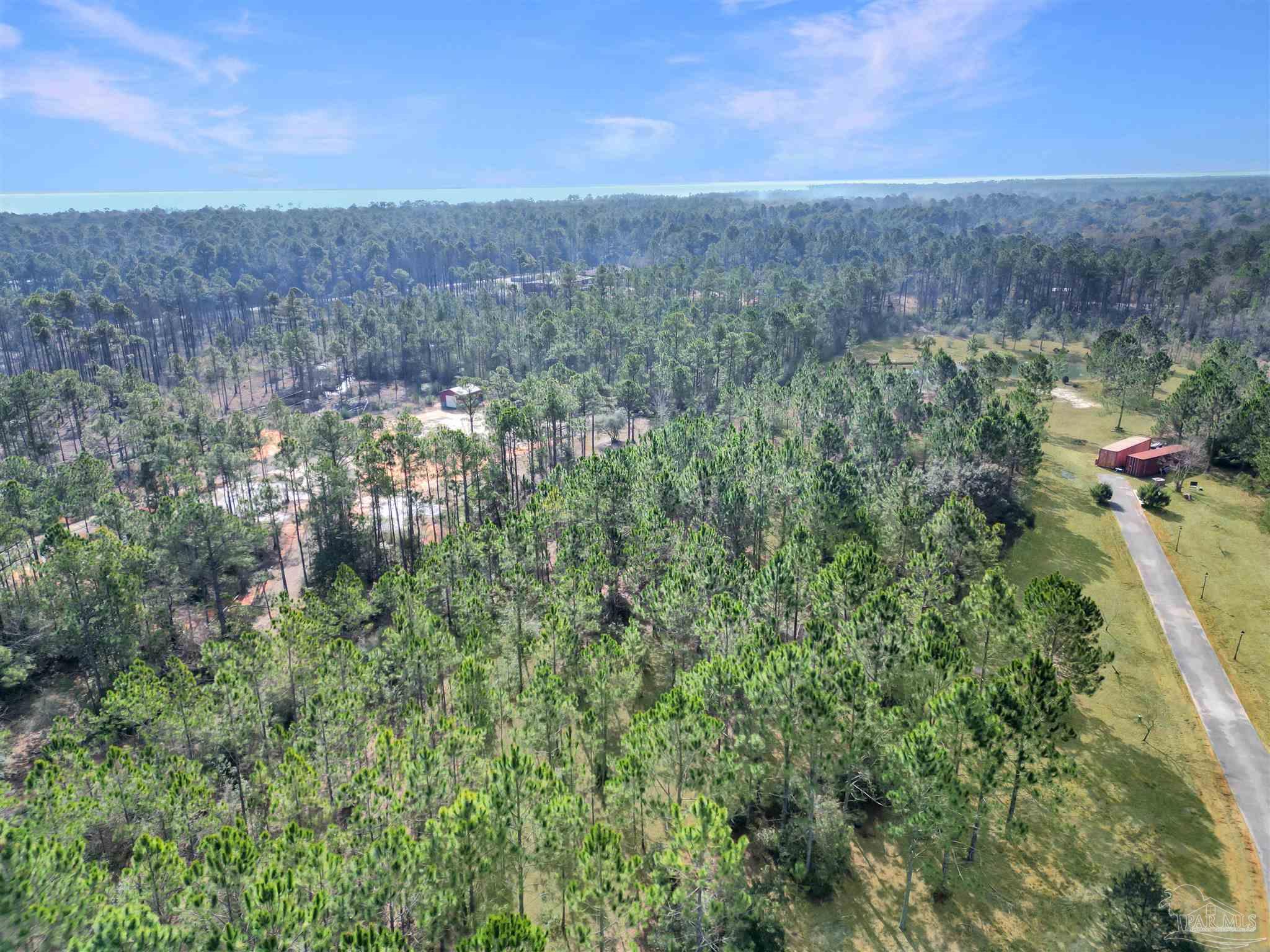 0 Mary Kitchens Road Milton, FL 32583 - Photo 3 of 14 a view of a forest with a forest
