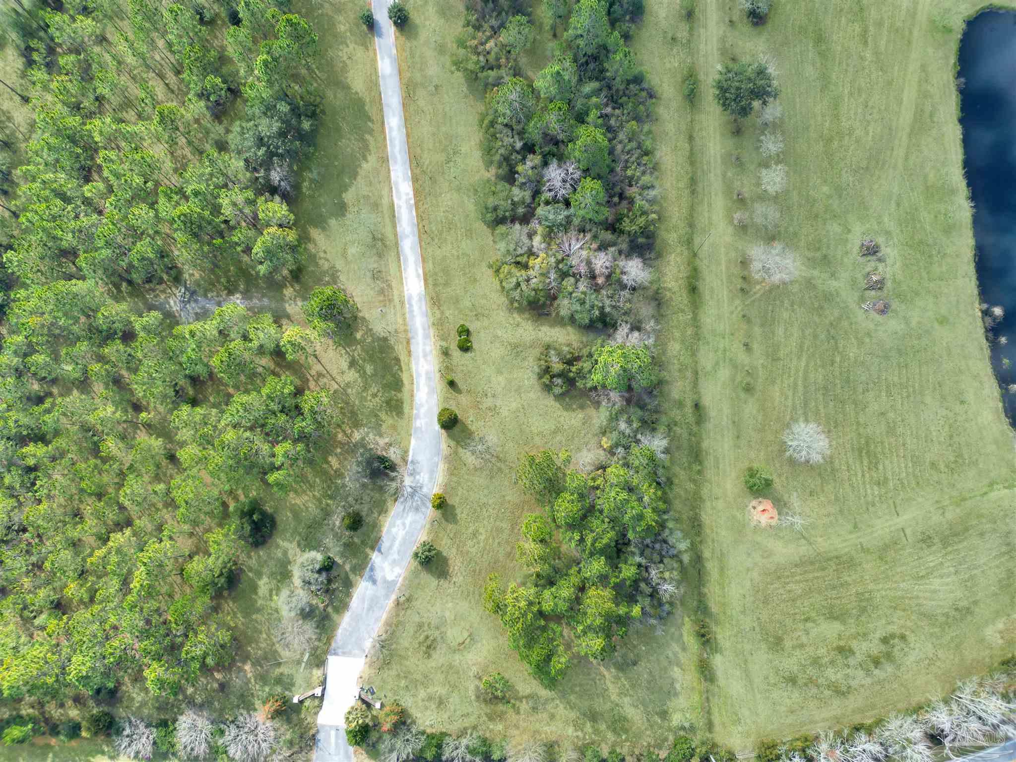 0 Mary Kitchens Road Milton, FL 32583 - Photo 4 of 14 a view of a plant