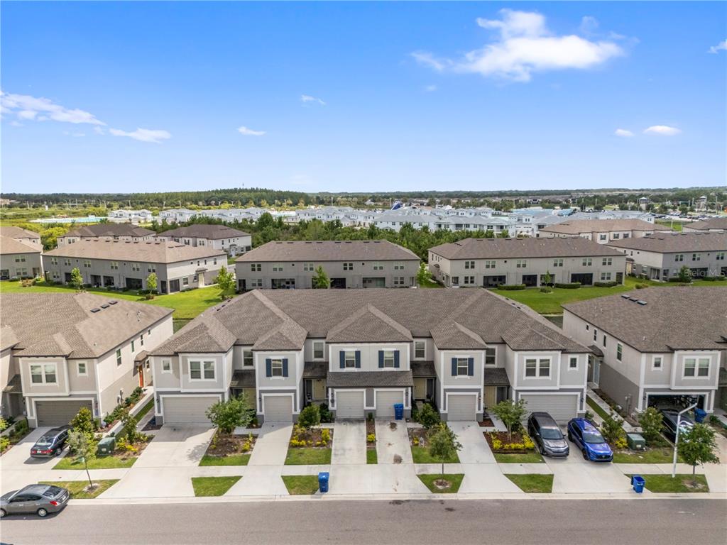 31940 Blue Passing Loop Wesley Chapel, FL 33545 - Photo 46 of 60