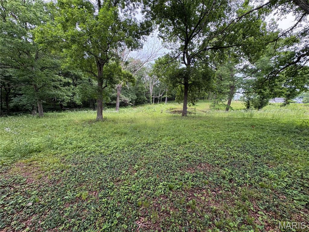 7440 Highway 17 Houston, MO 65483 - Photo 16 of 40