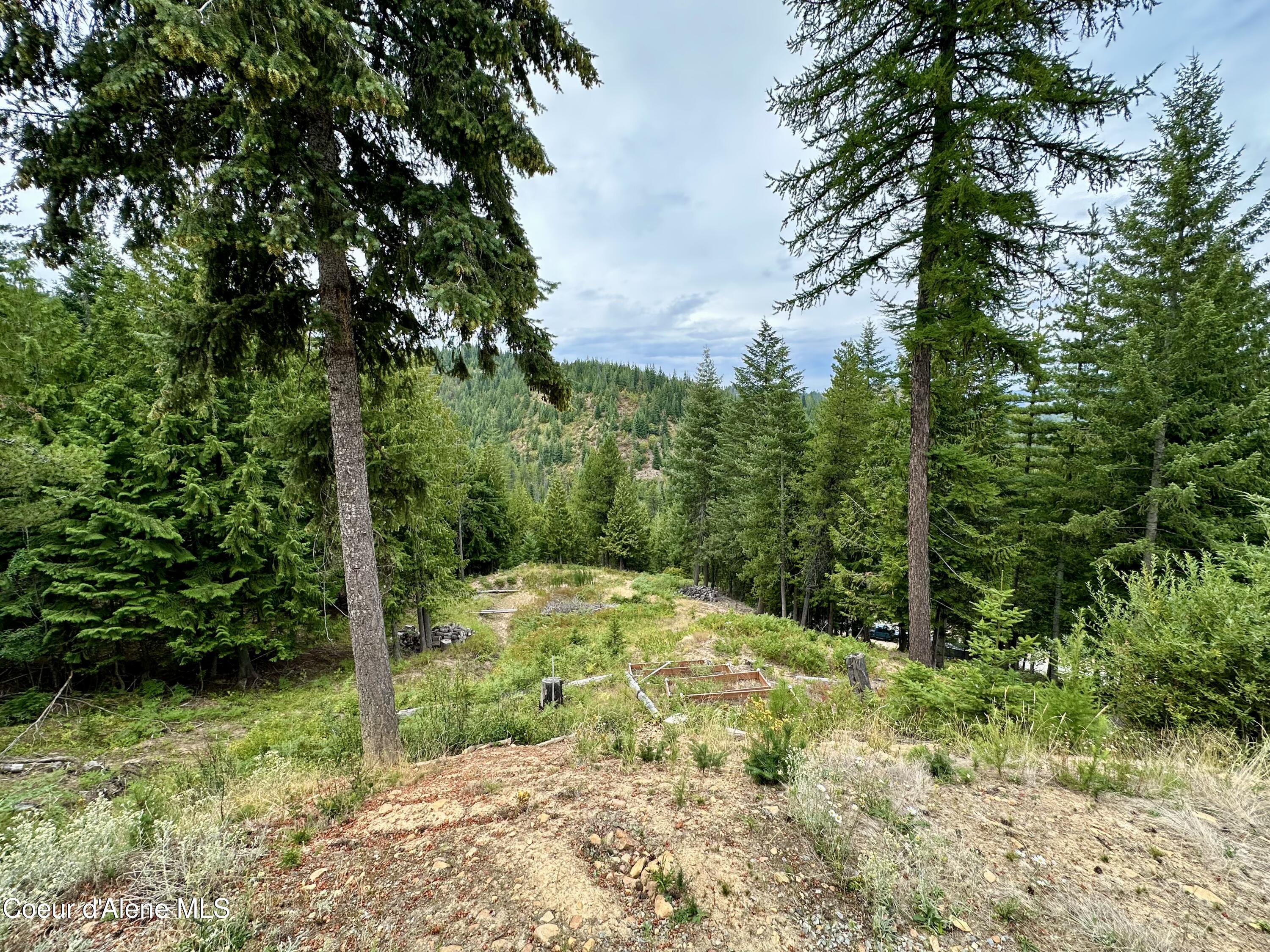 E Fork French Gulch