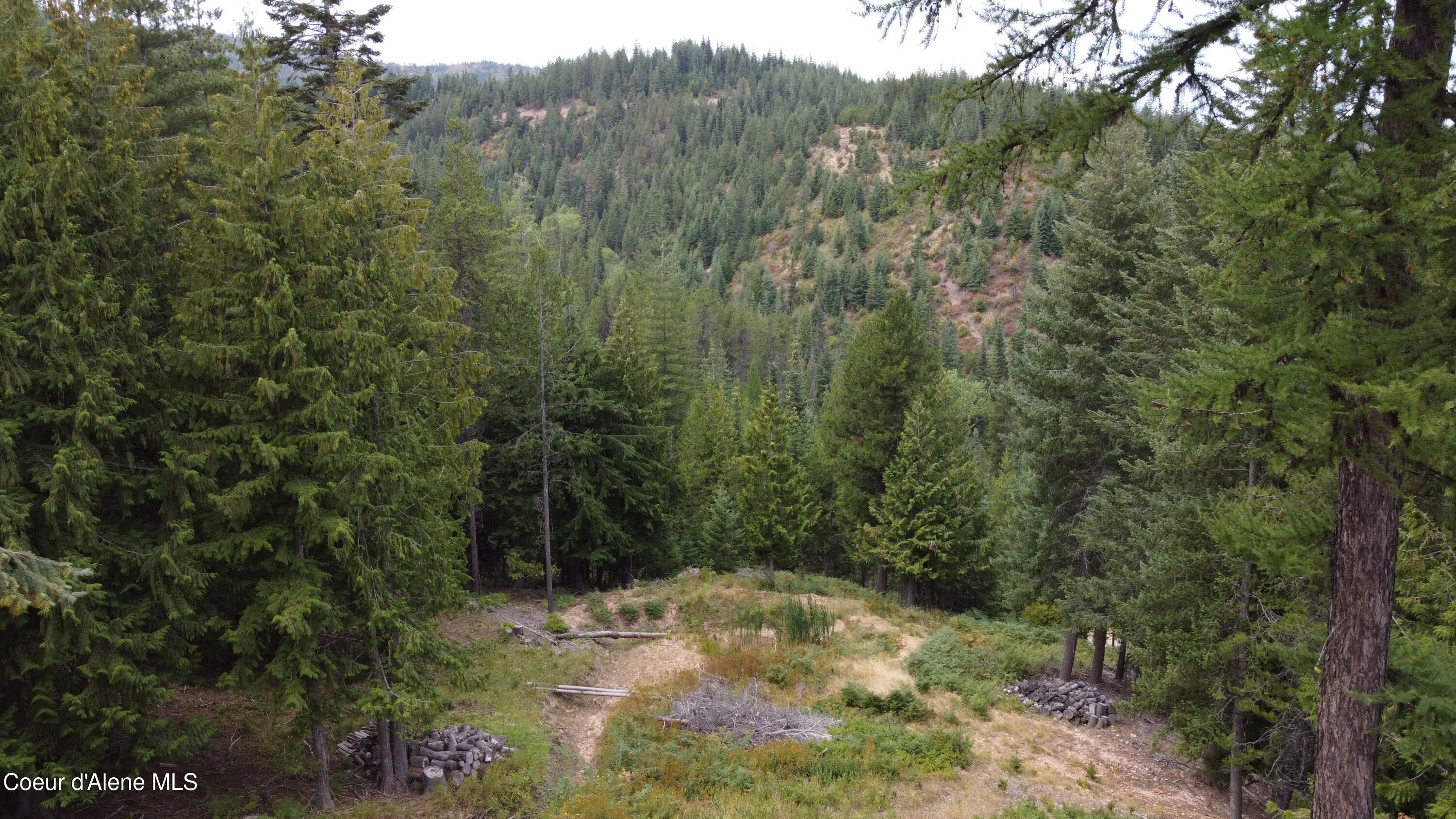 625 East Fork French Gulch Road Pinehurst, ID 83850 - Photo 2 of 6 2