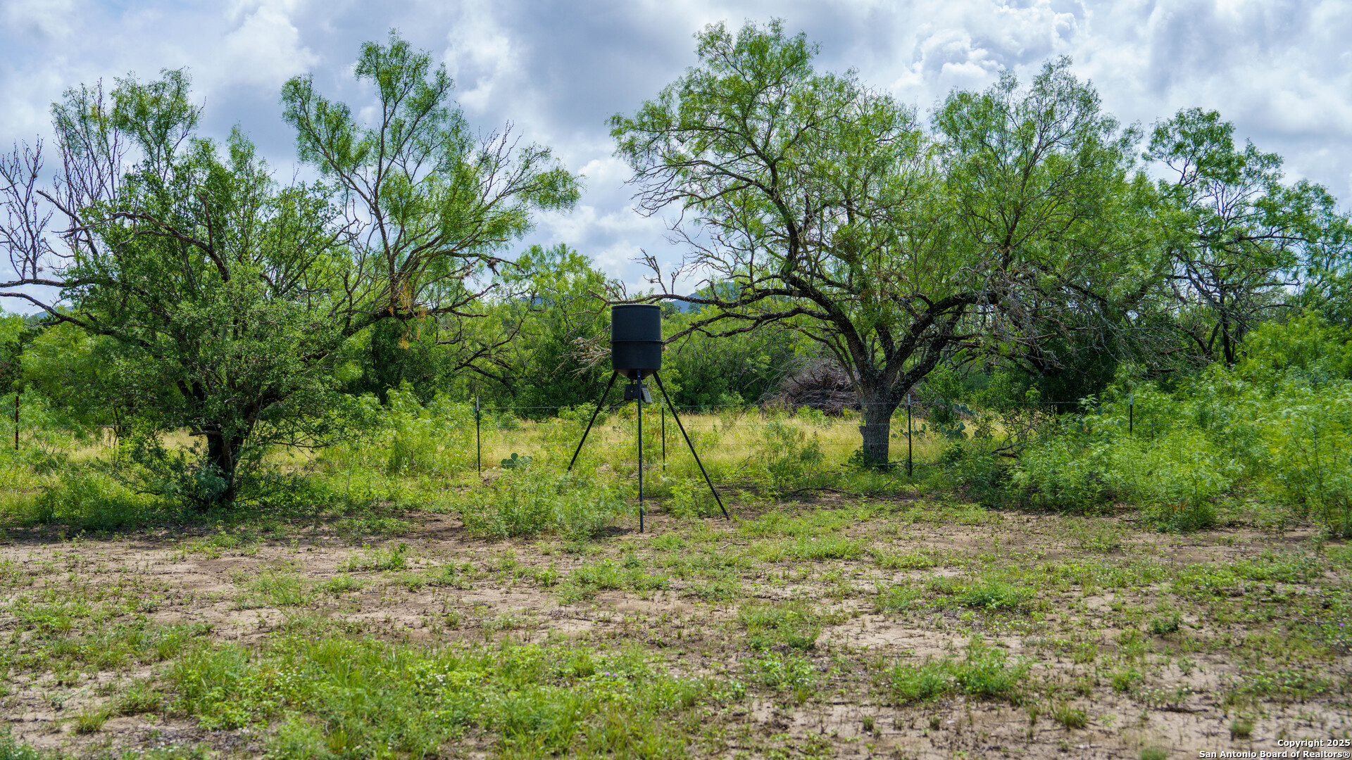 1231 B & R Road Vanderpool, TX 78885 - Photo 26 of 26 a view of backyard with green space