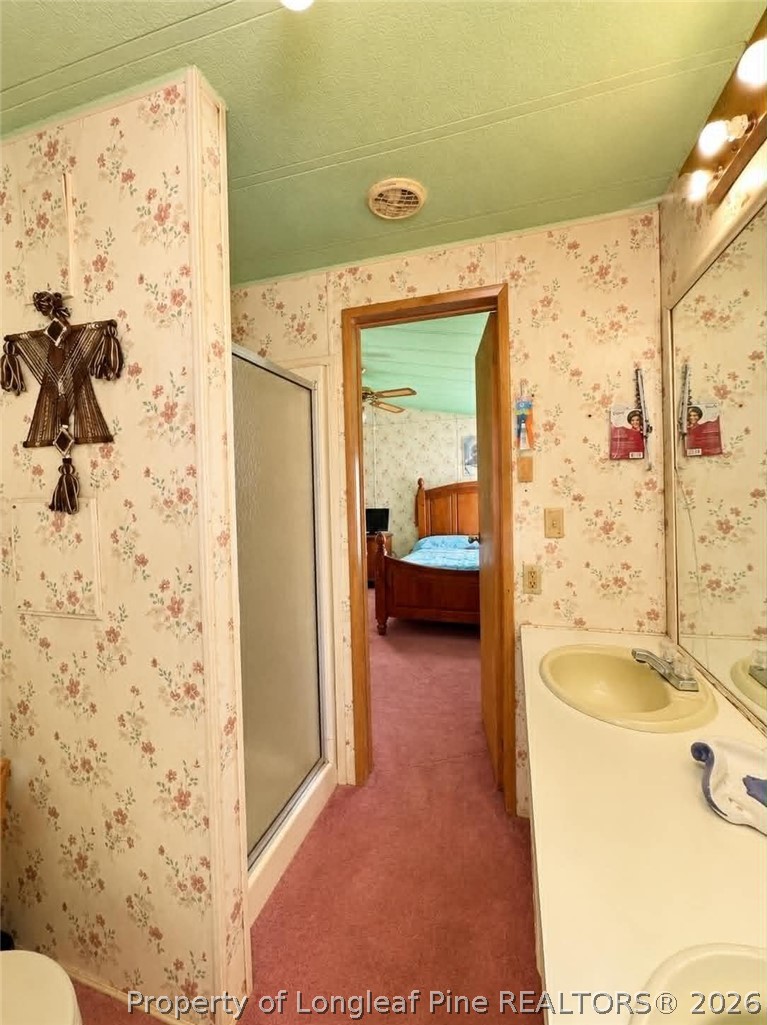 4435 Tartt's Mill Road Wilson, NC 27893 - Photo 11 of 23 a en suite bathroom with a sink and a shower