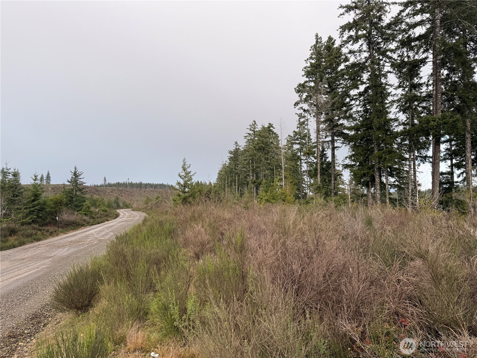 1-xx West California Road Shelton, WA 98584 - Photo 11 of 14 a view of a field of grass and trees