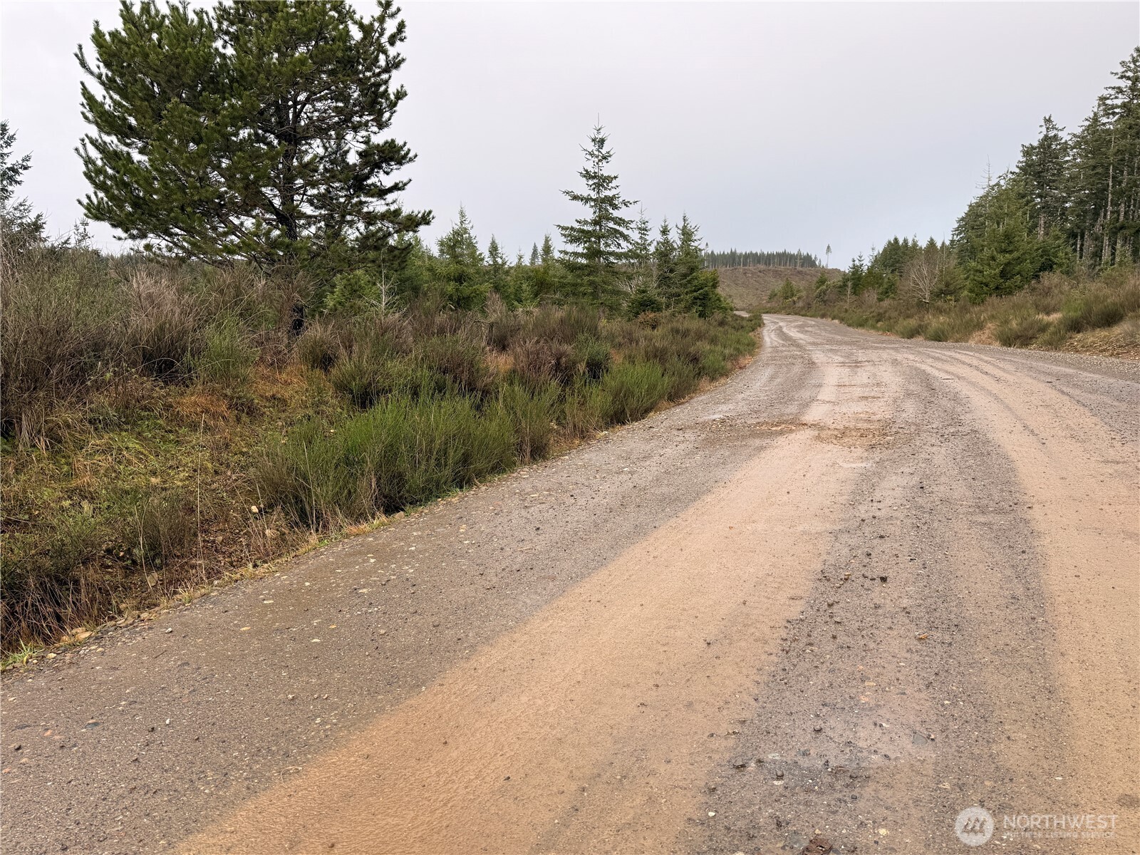 1-xx West California Road Shelton, WA 98584 - Photo 12 of 14 a view of a road with a trees