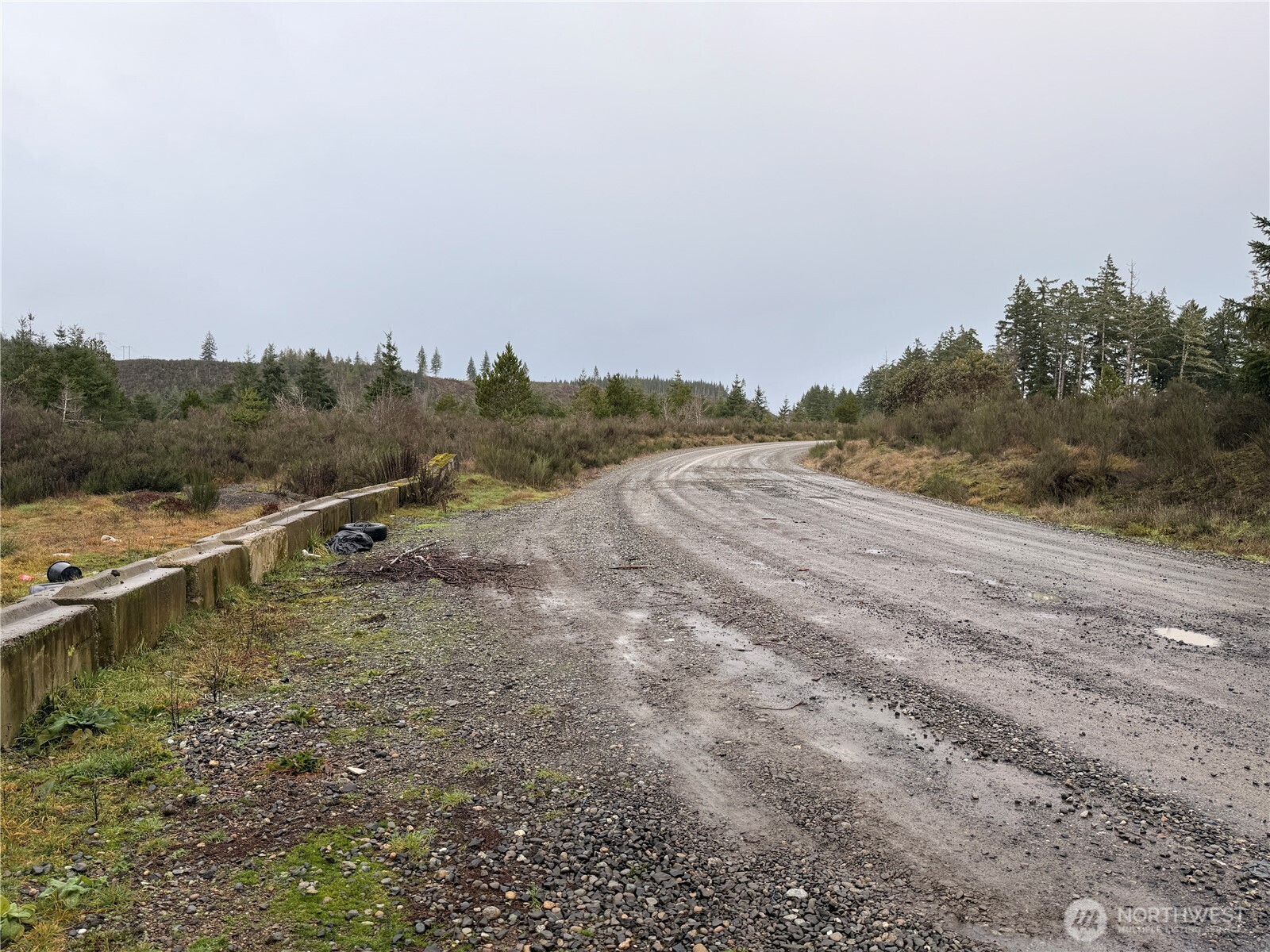 1-xx West California Road Shelton, WA 98584 - Photo 14 of 14 an aerial view of mountain with large trees