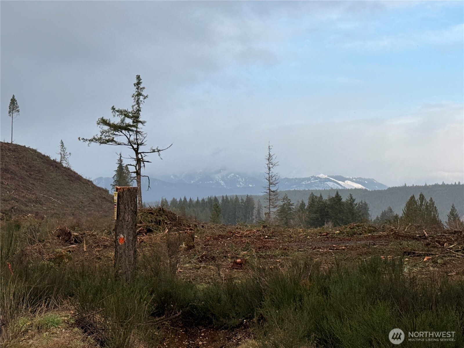 1-xx West California Road Shelton, WA 98584 - Photo 4 of 14 a view of a lake with a mountain in the background