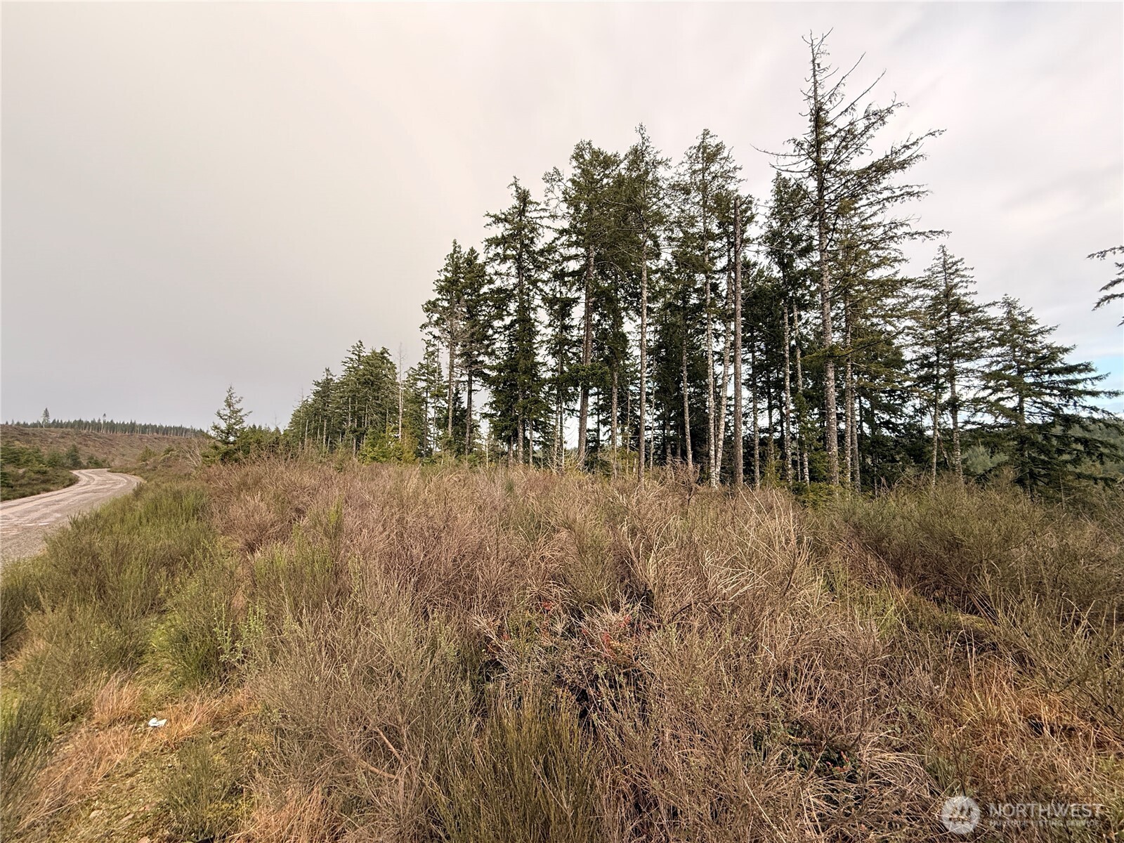 1-xx West California Road Shelton, WA 98584 - Photo 5 of 14 a view of a lake with lots of trees