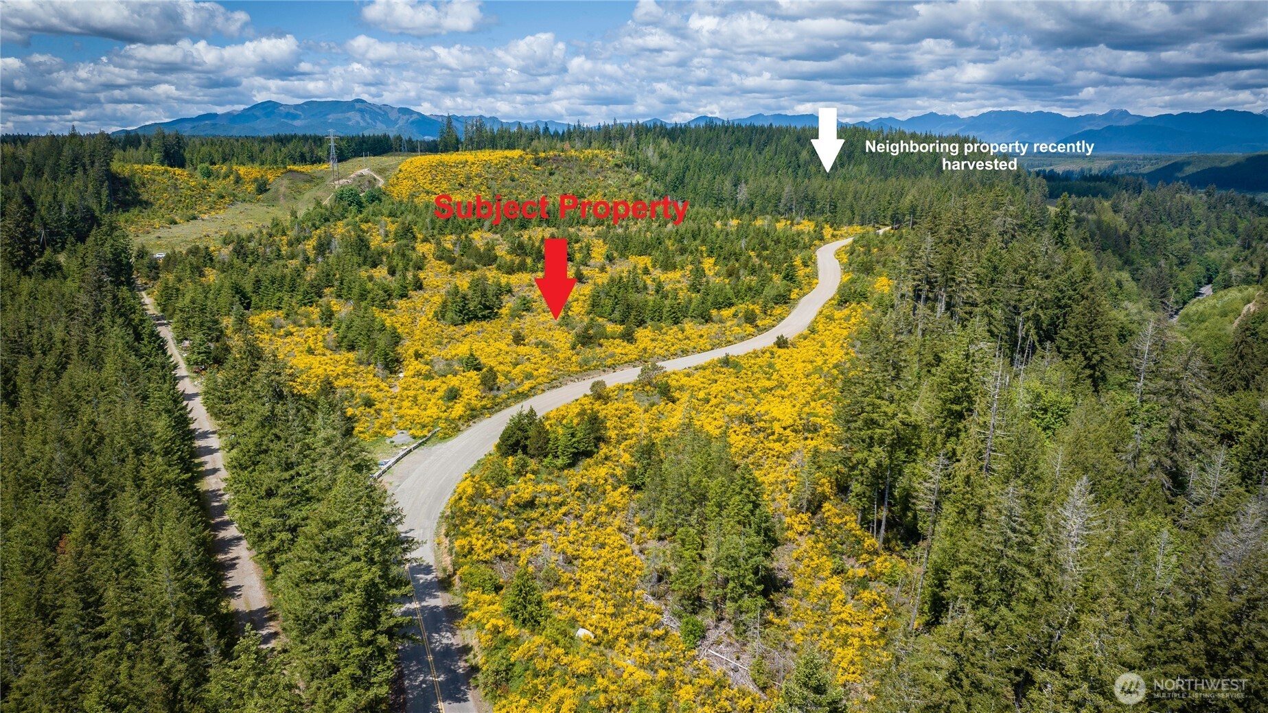 1-xx West California Road Shelton, WA 98584 - Photo 9 of 14 a view of a lake