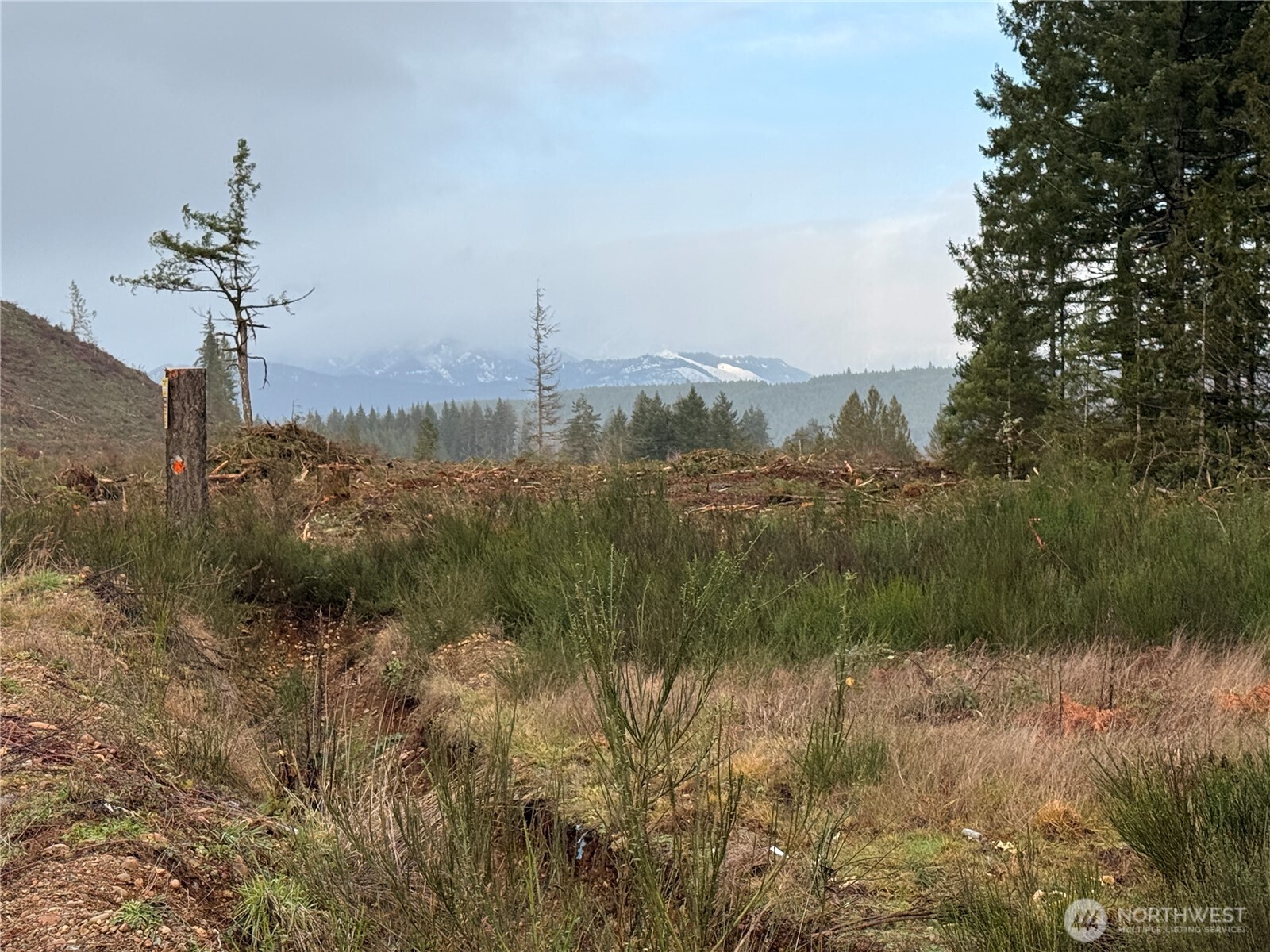 1-xx West California Road Shelton, WA 98584 - Photo 10 of 14 a view of a lake with a mountain in the background
