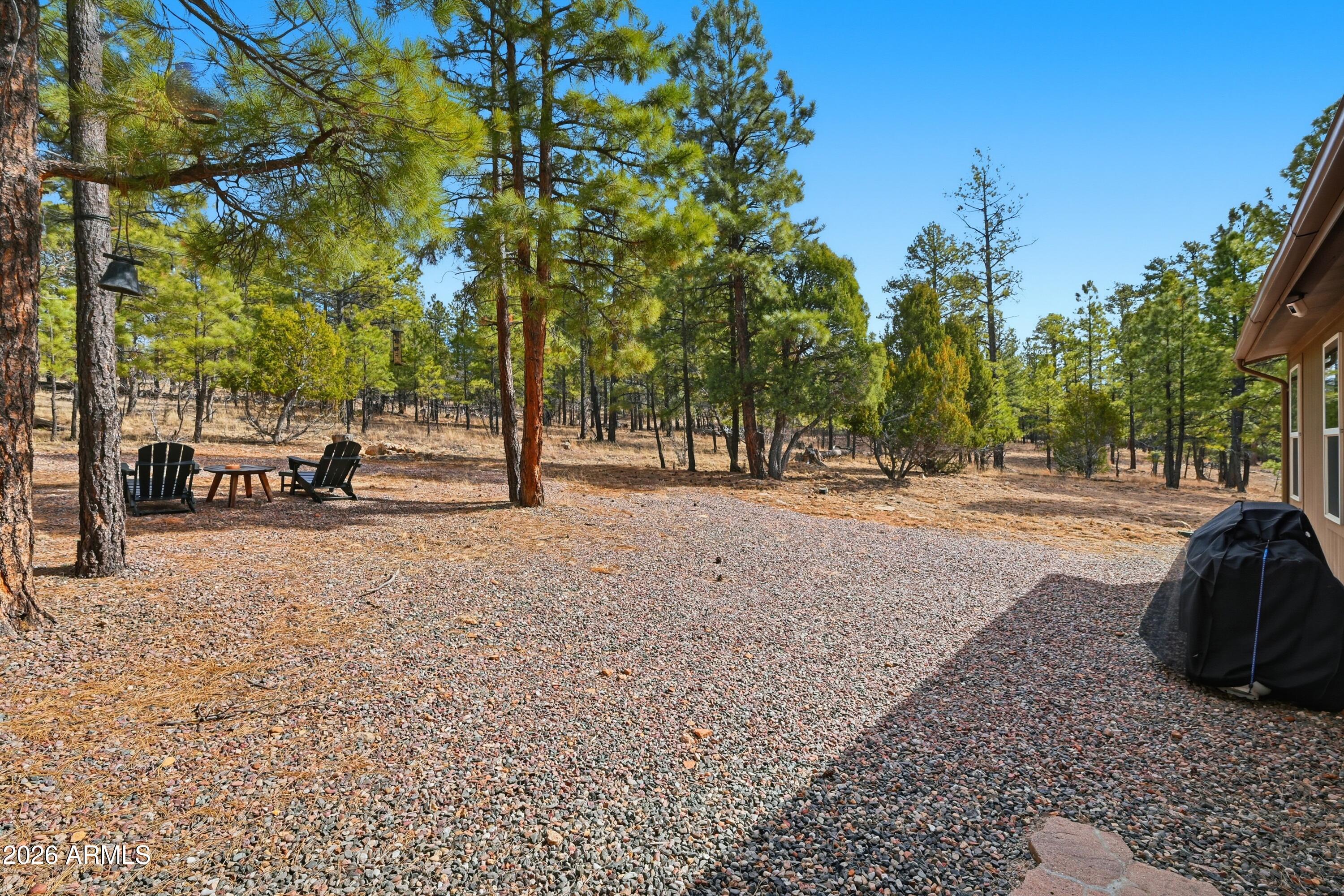 2381 Blue Ridge Drive Happy Jack, AZ 86024 - Photo 24 of 45 a view of road with trees