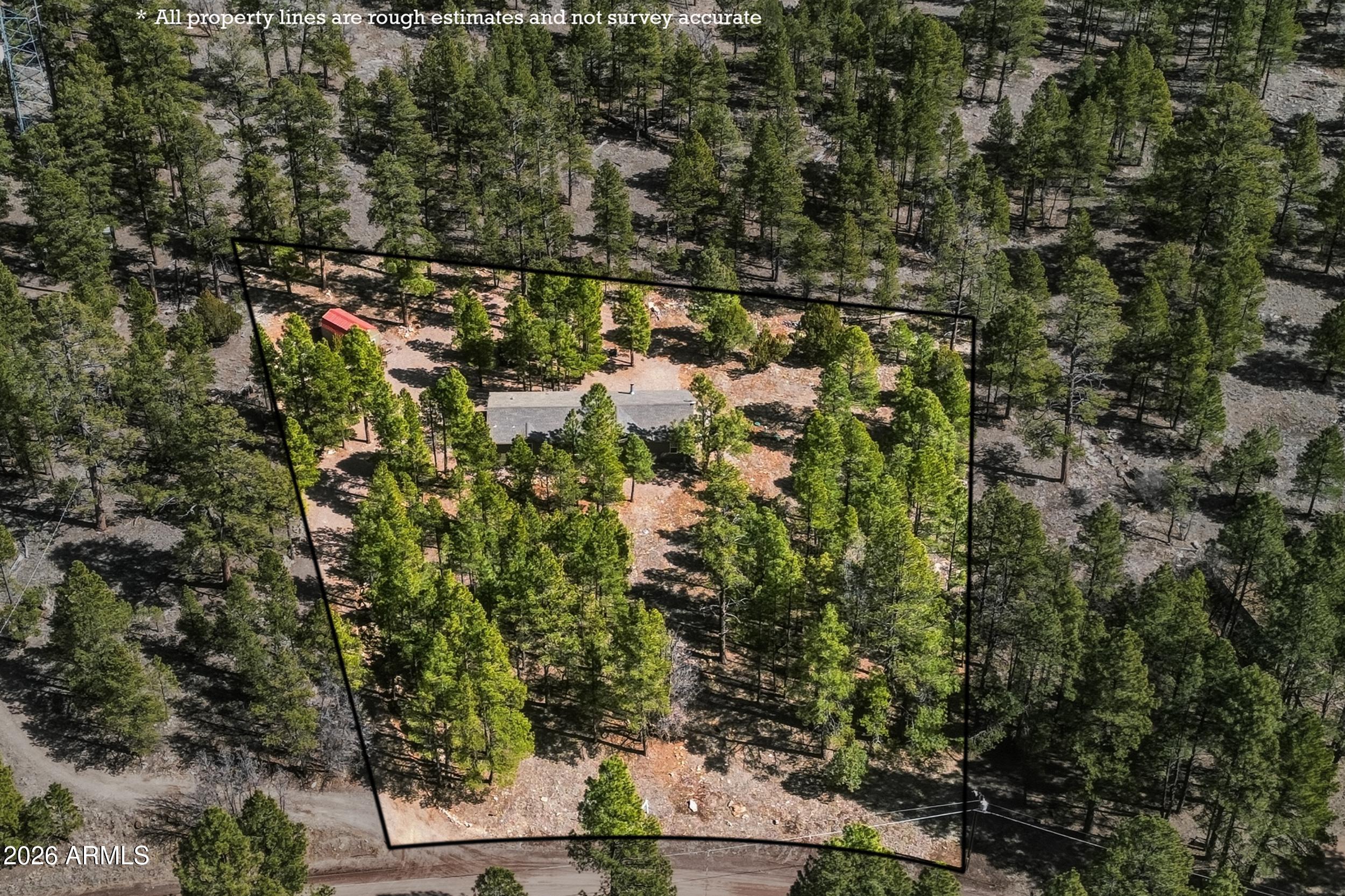 2381 Blue Ridge Drive Happy Jack, AZ 86024 - Photo 2 of 45 a view of a forest with a tree
