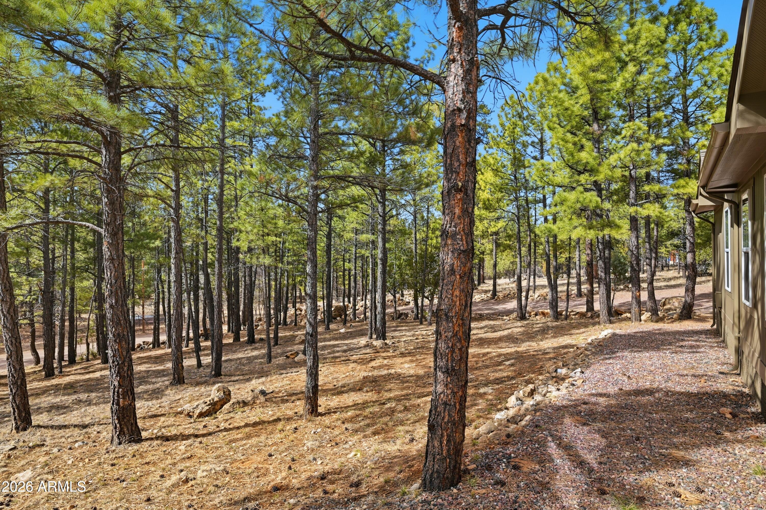 2381 Blue Ridge Drive Happy Jack, AZ 86024 - Photo 28 of 45 a view of a forest with trees