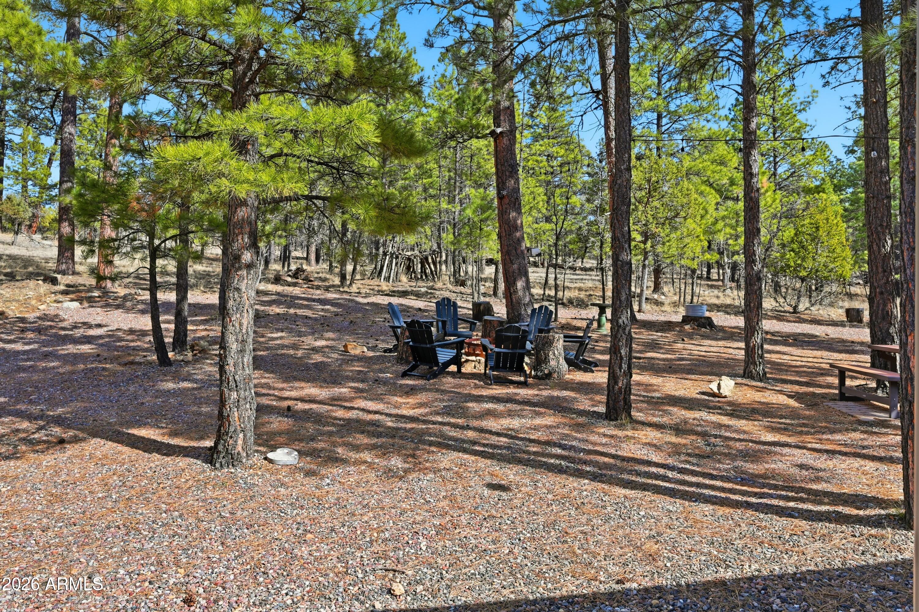 2381 Blue Ridge Drive Happy Jack, AZ 86024 - Photo 30 of 45 a view of a park with of trees