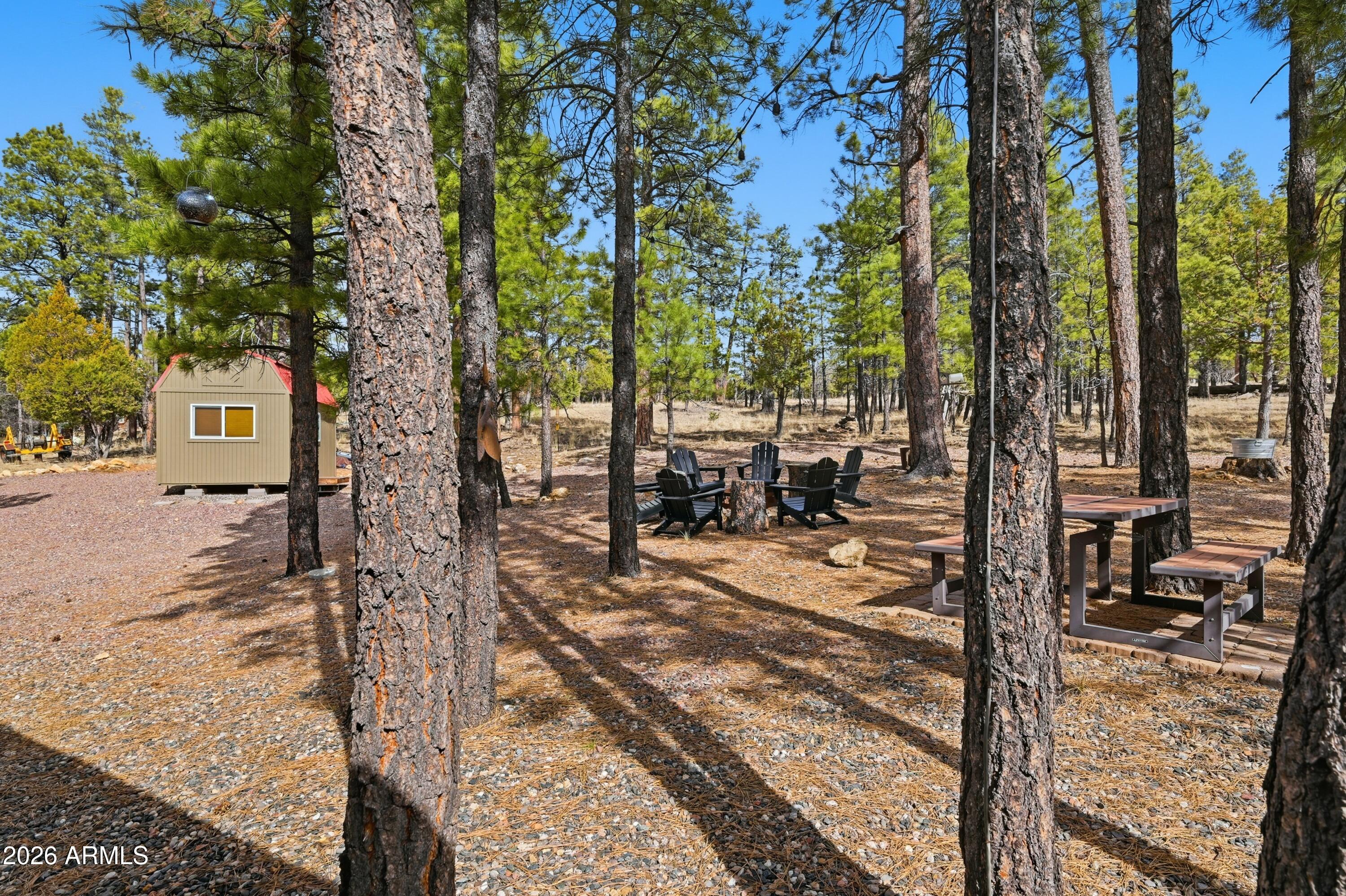 2381 Blue Ridge Drive Happy Jack, AZ 86024 - Photo 38 of 45 a view of a yard with trees