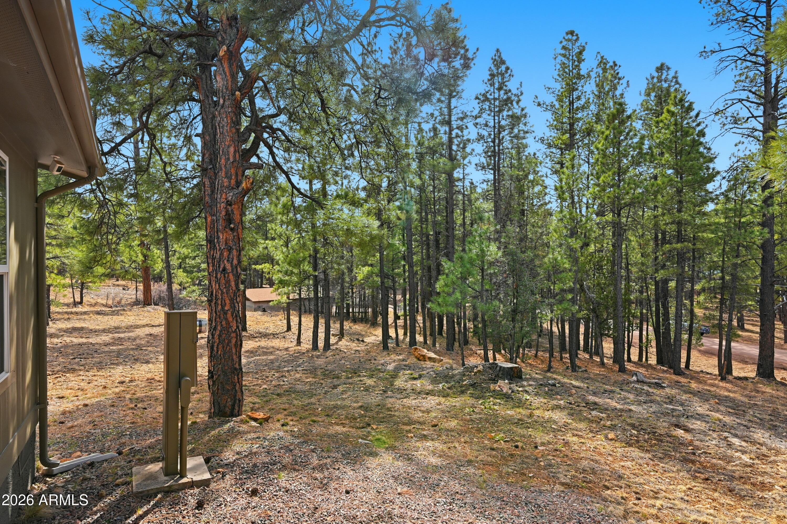 2381 Blue Ridge Drive Happy Jack, AZ 86024 - Photo 3 of 45 a view of a forest