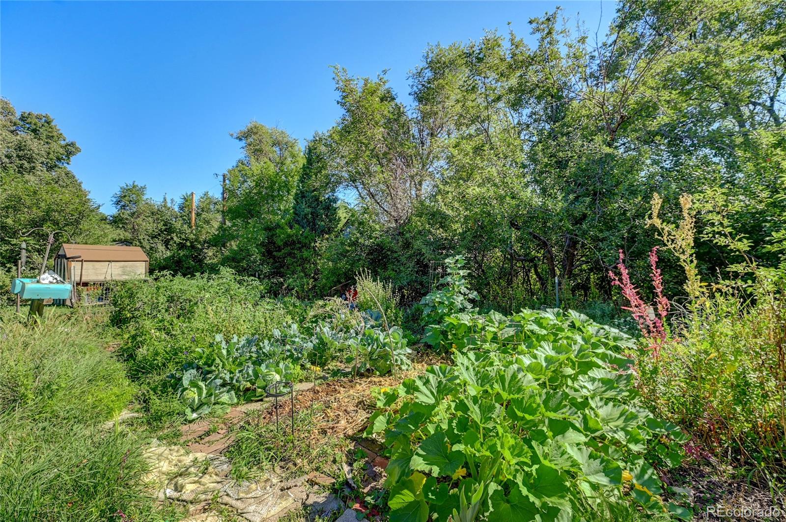 6185 West 29th Avenue Wheat Ridge, CO 80214 - Photo 26 of 33