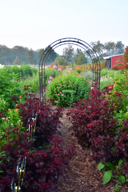 3788 Mast Road Fairview, MI 48621 - Photo 14 of 114 DSC_2745