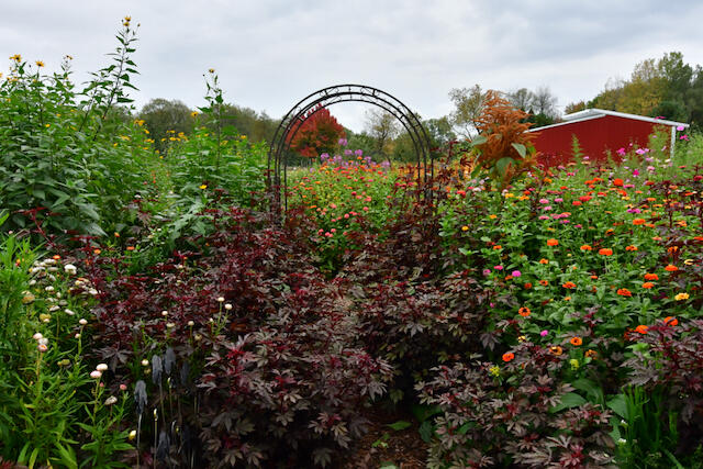 3788 Mast Road Fairview, MI 48621 - Photo 20 of 114 DSC_4341