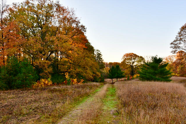 3788 Mast Road Fairview, MI 48621 - Photo 2 of 114 DSC_0403
