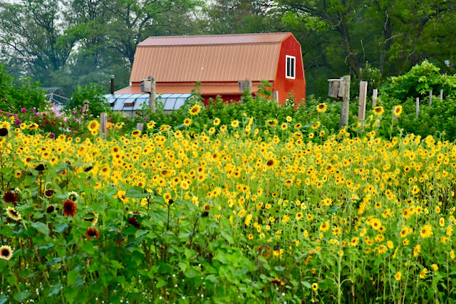 3788 Mast Road Fairview, MI 48621 - Photo 3 of 114 DSC_2711