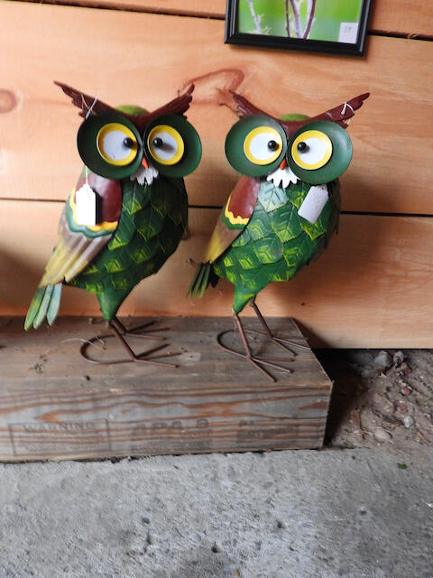 3788 Mast Road Fairview, MI 48621 - Photo 33 of 114 DSCN6689