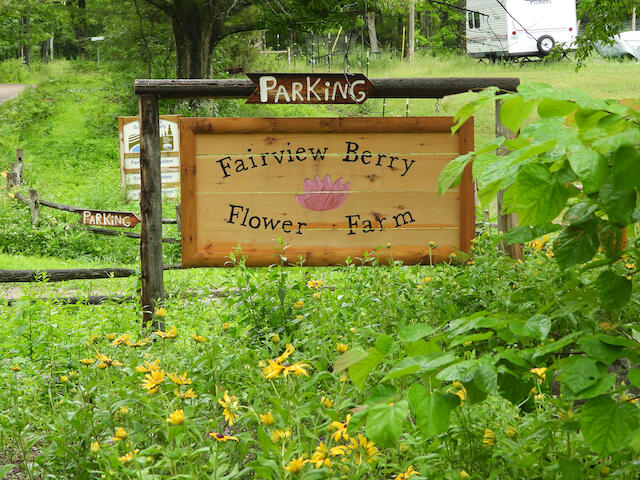 3788 Mast Road Fairview, MI 48621 - Photo 38 of 114 DSCN6714