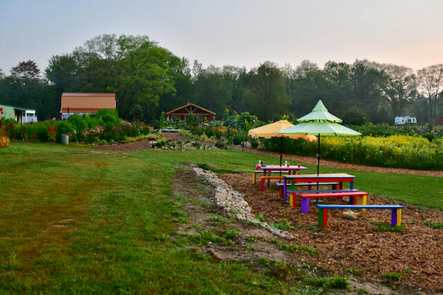 3788 Mast Road Fairview, MI 48621 - Photo 4 of 114 DSC_2718