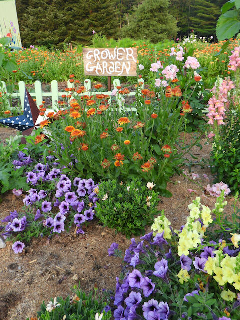 3788 Mast Road Fairview, MI 48621 - Photo 41 of 114 DSCN6999