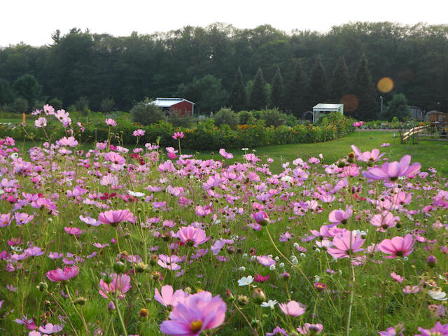 3788 Mast Road Fairview, MI 48621 - Photo 42 of 114 DSCN7023