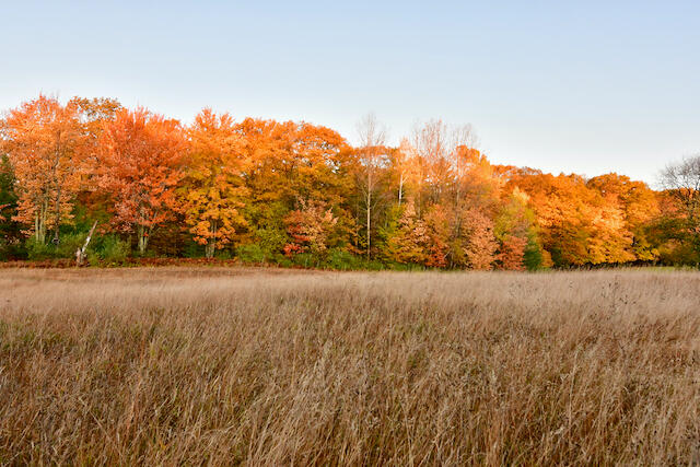 3788 Mast Road Fairview, MI 48621 - Photo 6 of 114 DSC_0408