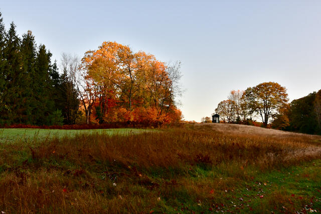 3788 Mast Road Fairview, MI 48621 - Photo 7 of 114 DSC_0416