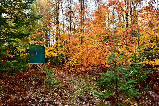 3788 Mast Road Fairview, MI 48621 - Photo 8 of 114 DSC_0427