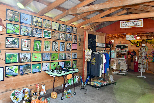 3788 Mast Road Fairview, MI 48621 - Photo 98 of 114 DSC_9051