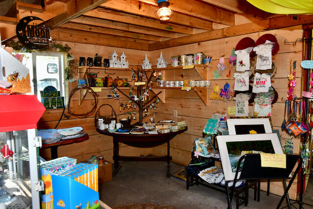 3788 Mast Road Fairview, MI 48621 - Photo 100 of 114 DSC_9053