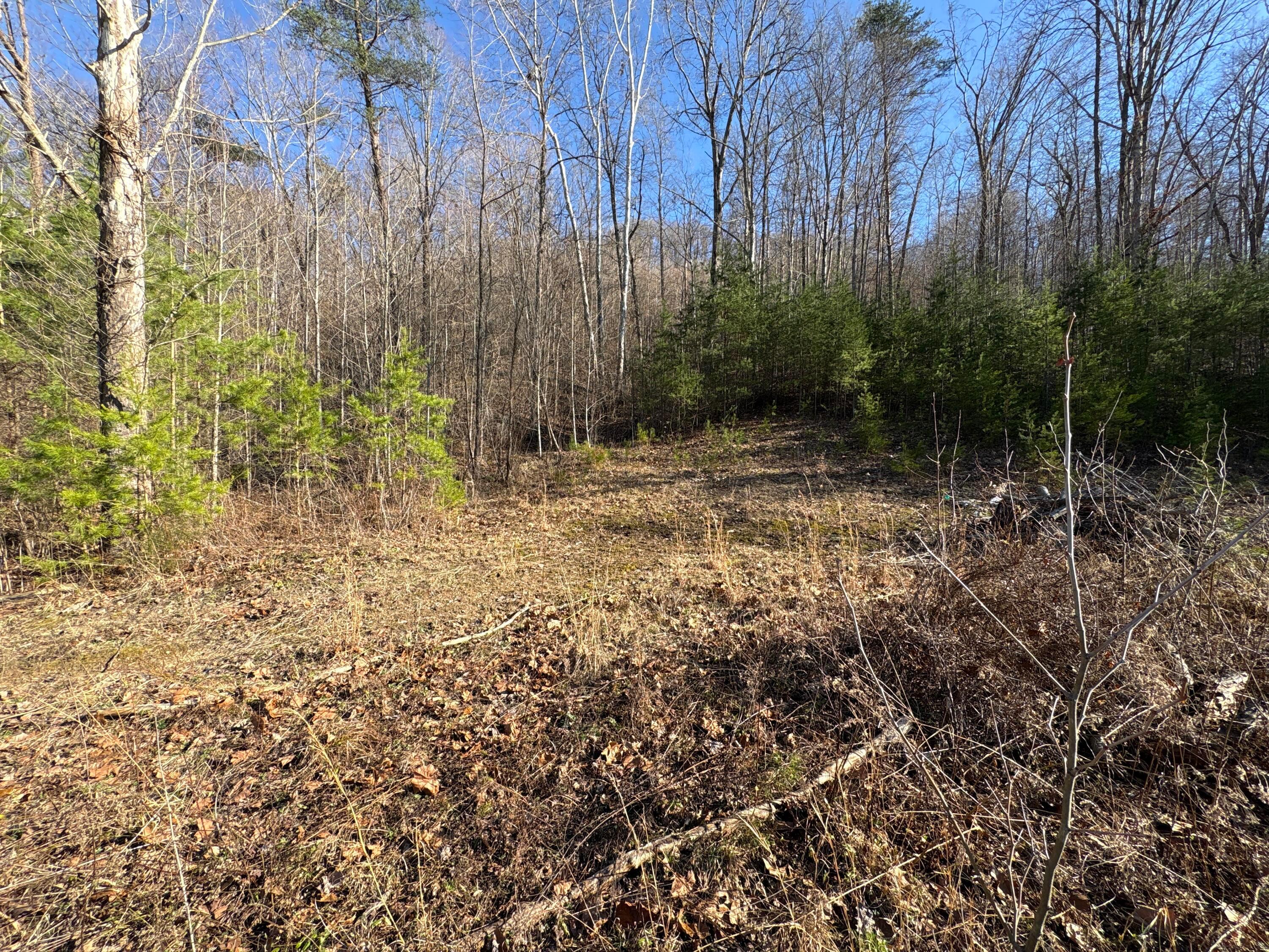 0 Millers Run-Fallen Timber Road Lucasville, OH 45648 - Photo 8 of 24 pic 6