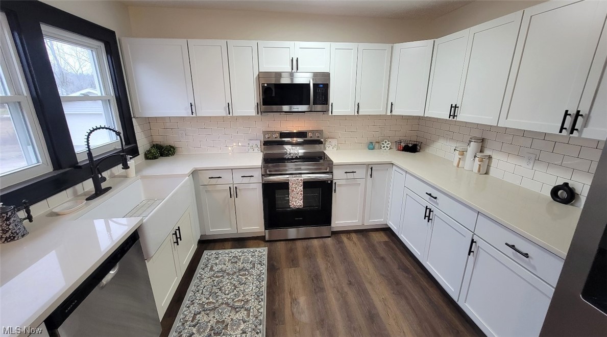 Kitchen featuring a wealth of natural light, dark wood-type flooring, stainless steel appliances, and backsplash