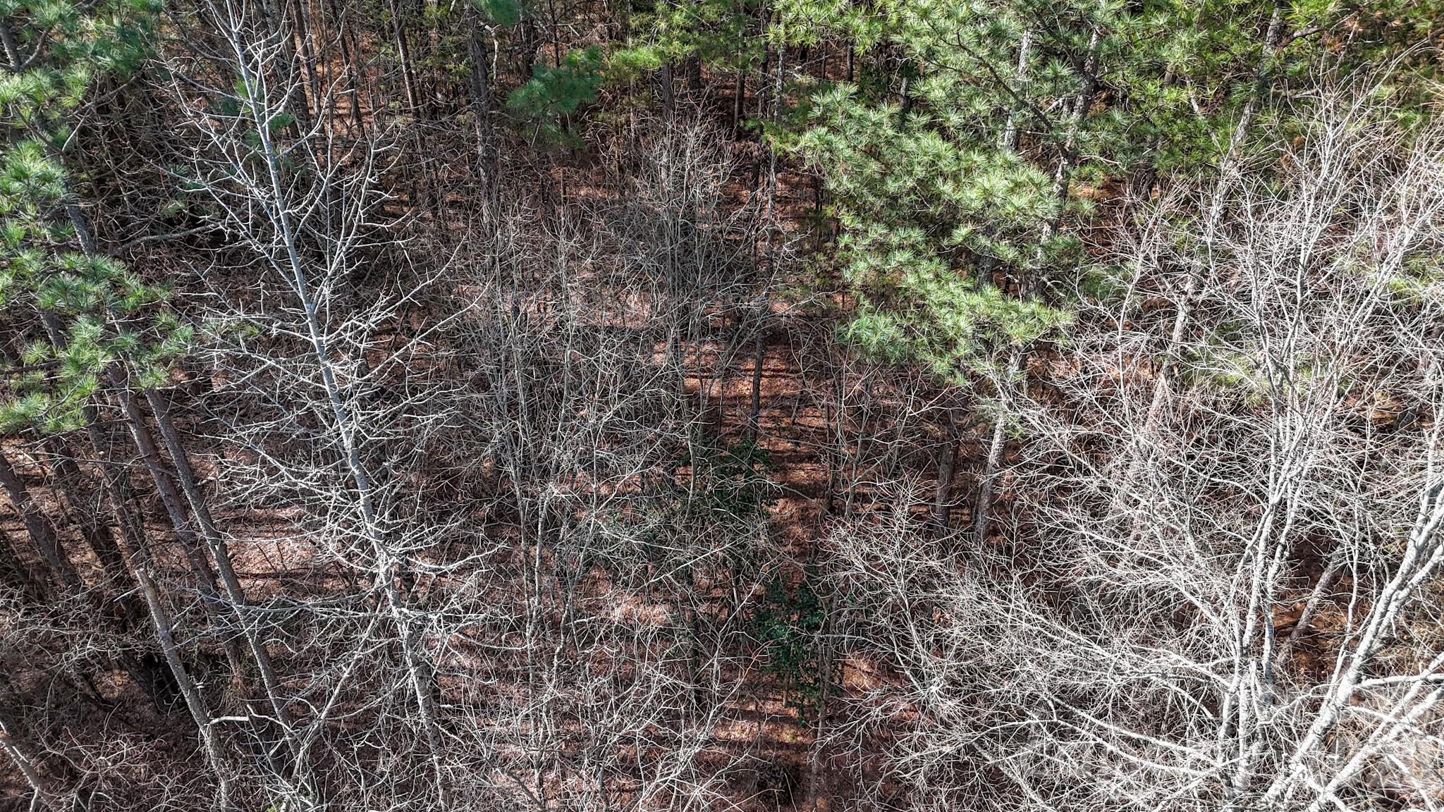 0 Sapp Road Kannapolis, NC 28083 - Photo 12 of 16