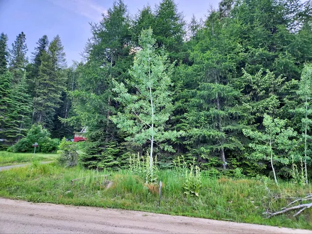 $309,000 | 1457 West Mountain Road, Unit 2A45, Cascade, ID 83611