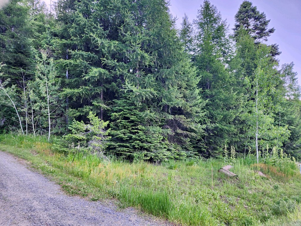 1457 West Mountain Road, Unit 2A45 Cascade, ID 83611 - Photo 4 of 11 Sloped, Steep & Wooded Terrain