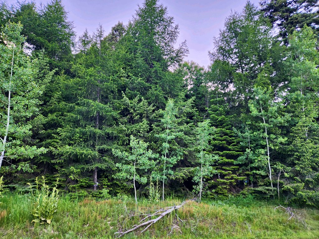 1457 West Mountain Road, Unit 2A45 Cascade, ID 83611 - Photo 5 of 11 Borders State of Idaho Land
